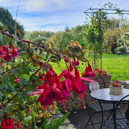Blainville-sur-Mer Lesroses1680 B&B 외부 사진