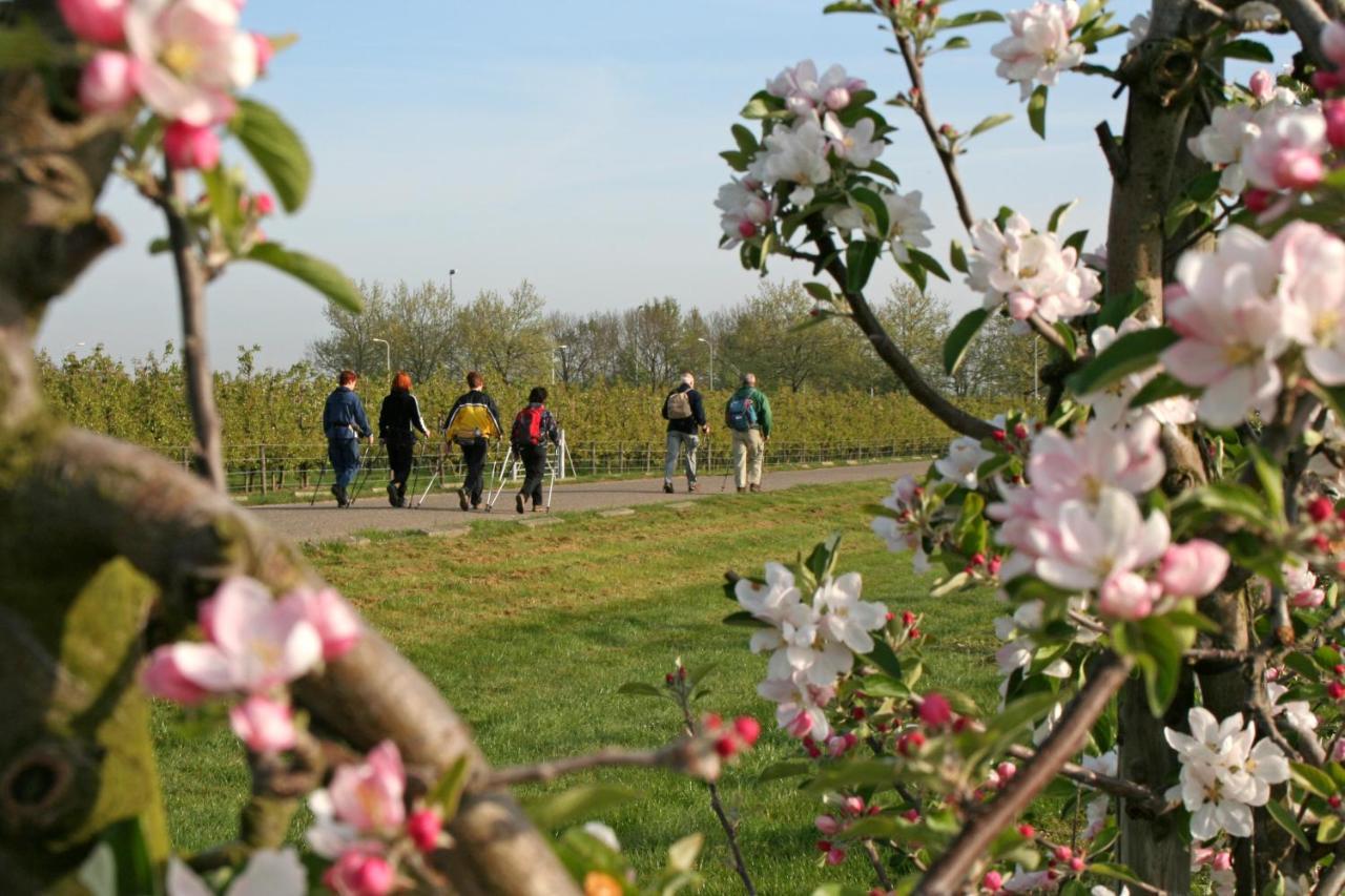 Blainville-sur-Mer Lesroses1680 B&B 외부 사진