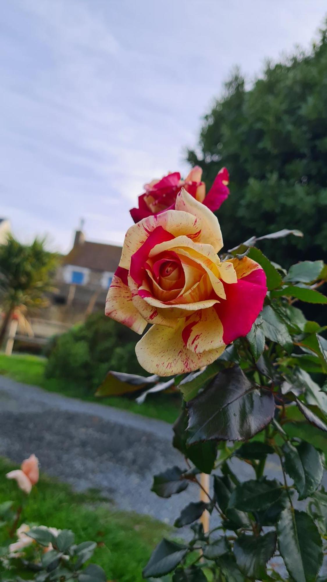 Blainville-sur-Mer Lesroses1680 B&B 외부 사진